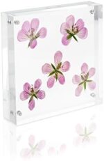 Isaac Jacobs 4” x 4” (4-Pack) Super Thick [23MM Thickness] Clear Acrylic Magnetic Block Picture Frame, Double-Sided, Frameless, Freestanding, Floating Photos, for Desktop & Tabletop Display (4x4) - Image 6